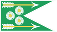 Flag Dol Blathanna Enid