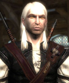 The Witcher