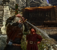 Geralt ha appena vinto la spada di Xenthia, la principessa guerriera.