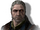 Tw2 journal Geralt.png