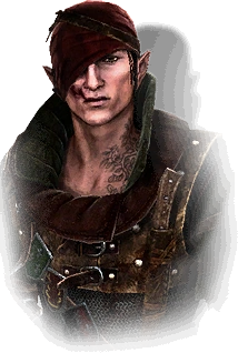 Iorveth, nel diario