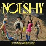 Not Shy Digital Cover