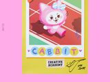 CABBIT