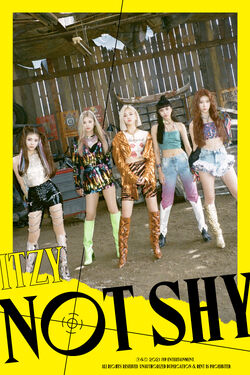 itzy 全員　サイン　アルバム　notshy itzy 全員 サイン アルバム notshy itzy 全員 サイン アルバム