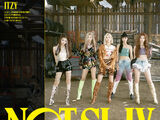 Not Shy (English ver.) (song)