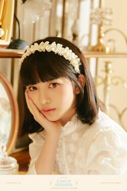 ive シーグリ 2022 a ray of sunshine ウォニョン