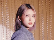 "Love Dive (Japanese ver.)" (January 2023)