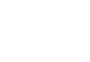 PRECIOUS Wiki Wordmark