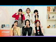 M/V Reaction