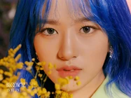 BLOOM*IZ (February 2020)