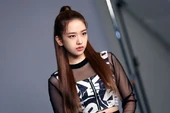 IVE Debut Profile