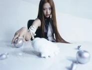 Secret, Cupid (August 2025)