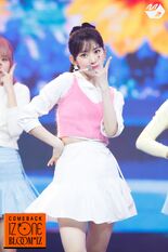 Sakura