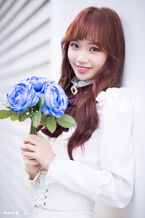 CHAEWON 2