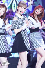 Sakura