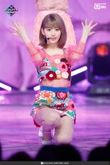 Sakura