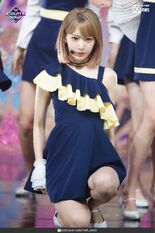 Sakura