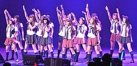 295px-Ax10akb18 (cropped)