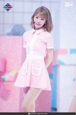 Sakura