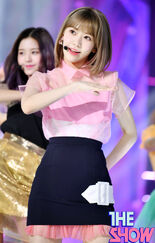 Sakura