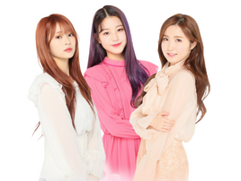 Americano Line 