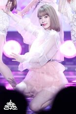 Sakura