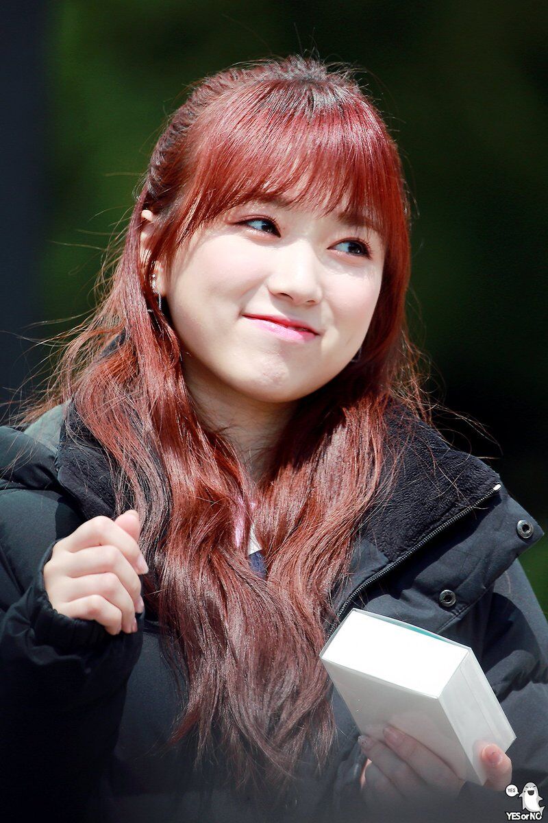 Nako/Trivia | IZ*ONE Wiki | Fandom