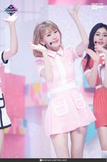 Sakura