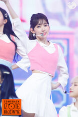Sakura