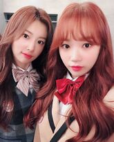 November 1, 2018 (With Chaewon)