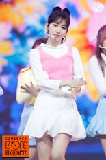Sakura