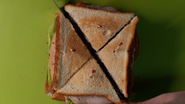 Turkeybrainclubsandwich6