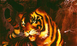 Tigr SI.png