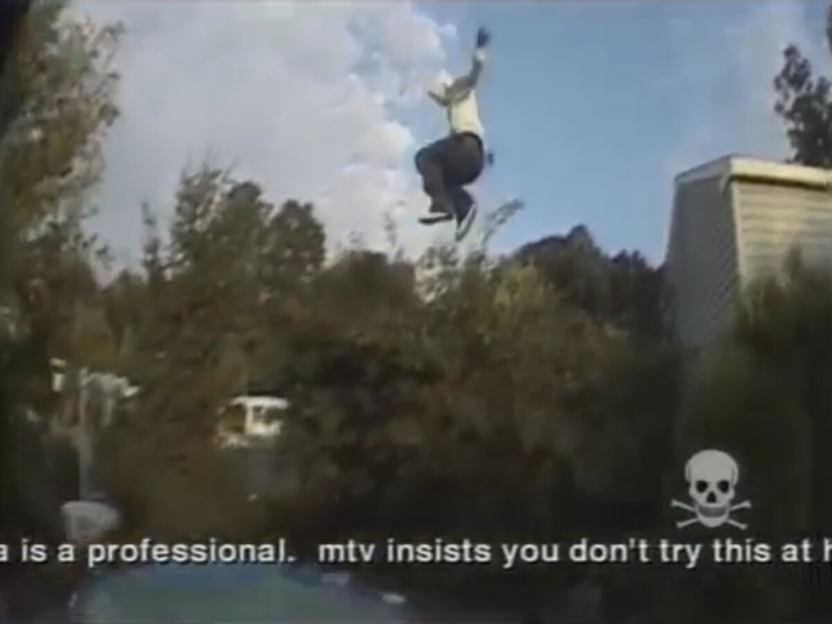 Tree Jumper Jackass Stunts Project Wiki Fandom