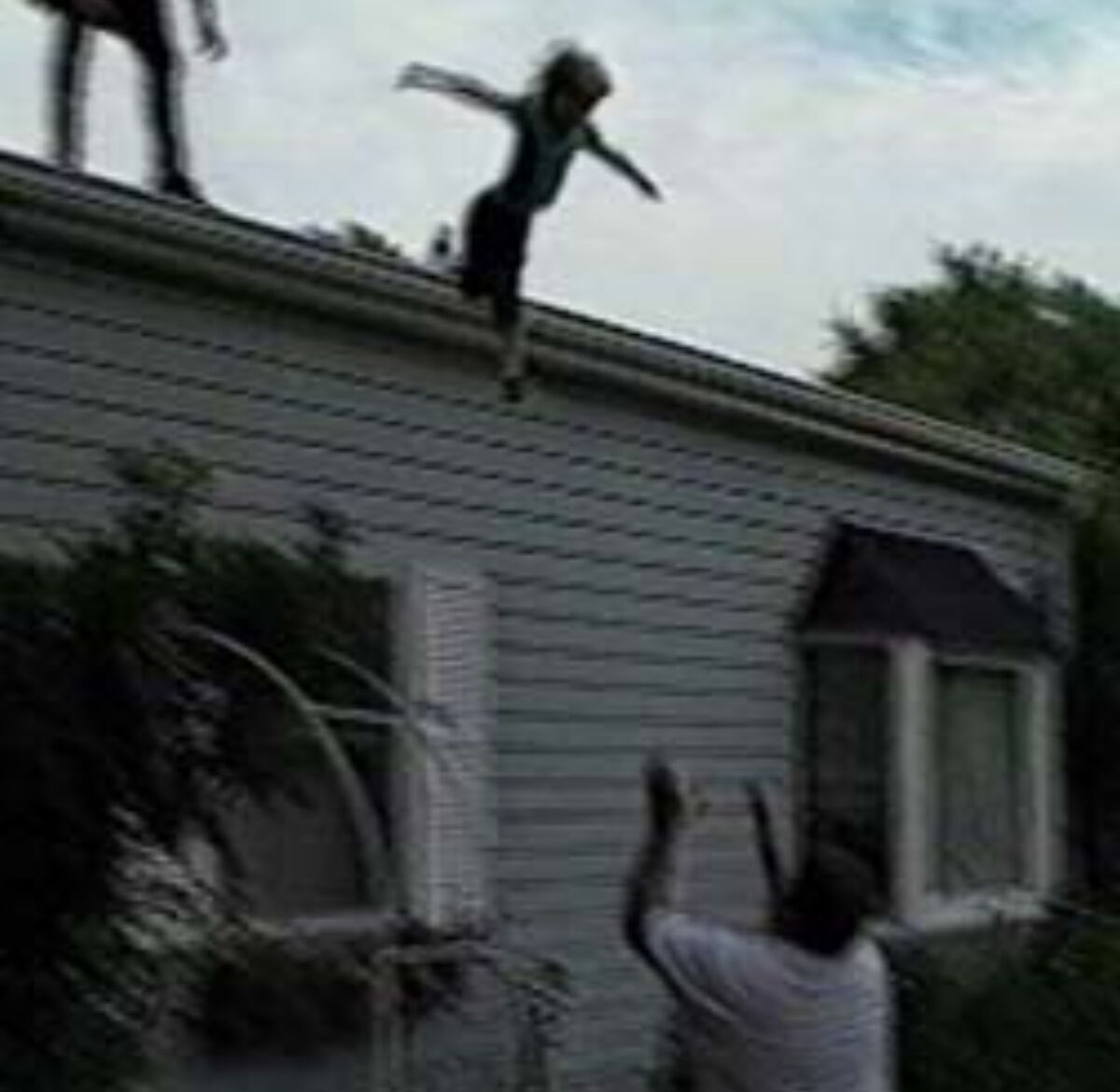 Roof Jump Jackass Stunts Project Wiki Fandom