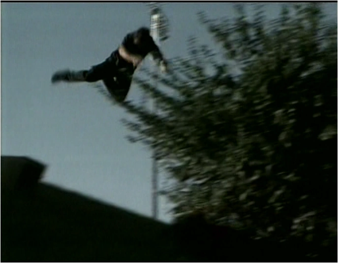 Grass Skiing Jackass Wiki Fandom