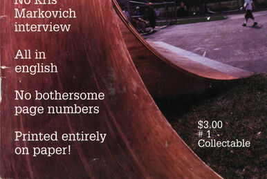 vtg 1990s Skateboard Magazine Big Brother #12 Sealed in