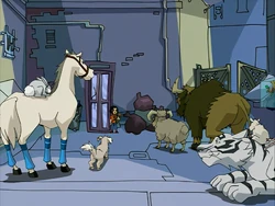 NobleAnimals
