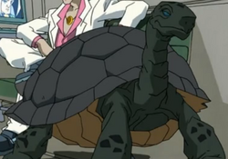 Aesop.png