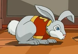 Lucky様 Lucky | Jackie Chan Adventures Wiki | Fandom