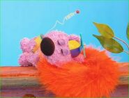 Sleeping Sheldon.jpg (40 KB) Sheldon sleeping without earmuffs during Brahms' Lullaby