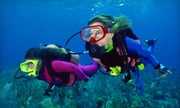 Scuba Lessons