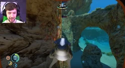 THE BEST CREATURE screen