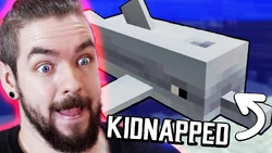 Trying To Get DOLPHINS Back To Ireland In Minecraft image