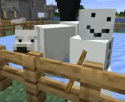 Pádraig with his snowman.