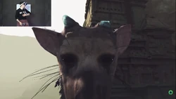 TRICO IN VR!! screen