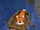 Seamus in the boat.jpg