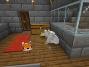 Seamus Jr. Jr with Green & Sam.