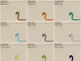 Snakes