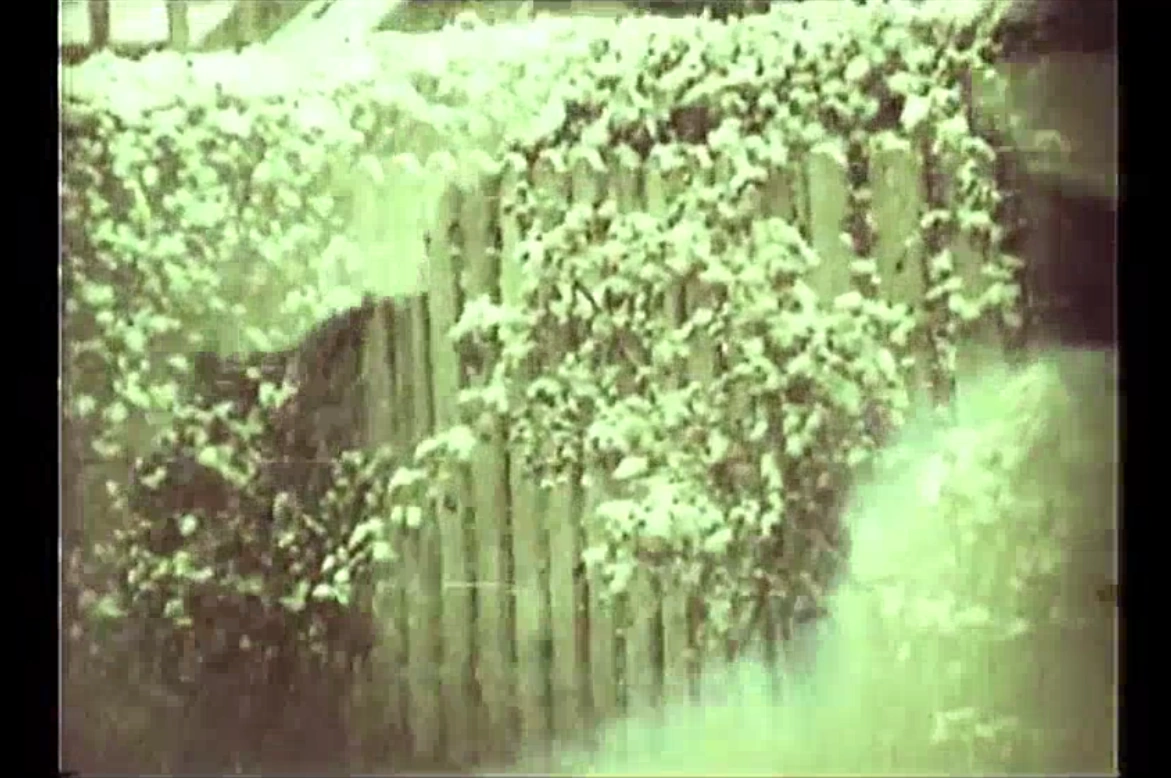 53 inches of snow fell on Erie Jack Stauber Wiki Fandom